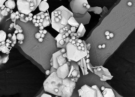 Microscopía electrónica de barrido (SEM) sobremesa